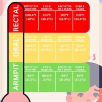 Child Fever Temperature Chart Singapore