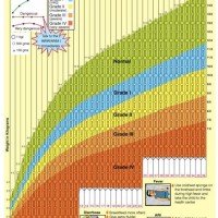 Child Growth And Development Chart