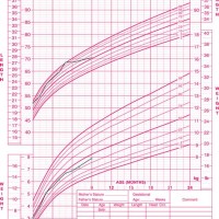 Child Weight Percentile Chart Uk