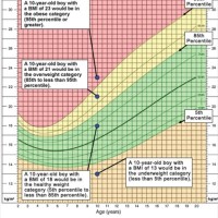 Childhood Obesity Weight Charts