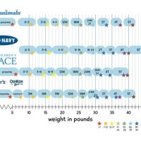 Children 8217 S Place Plus Size Chart