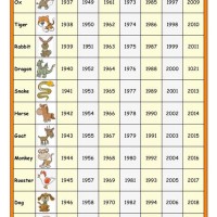 Chinese Astrology Birth Chart 2018