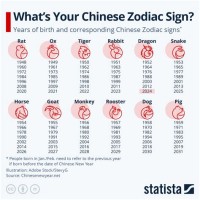 Chinese Astrology Birth Chart