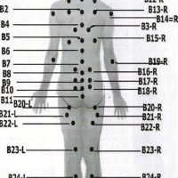 Chinese Cupping Points Chart 2021