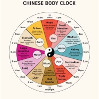 Chinese Medicine Body Clock Chart