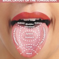 Chinese Medicine Tongue Diagnosis Chart