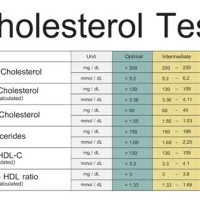 Cholesterol Test Results Chart