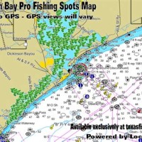 Christmas Bay Depth Chart