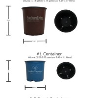 Christmas Tree Container Size Chart