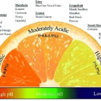 Citric Acid Fruit Chart