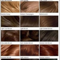 Clairol Hair Color Chart Numbers