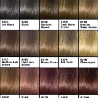 Clairol Hair Colour Chart Uk