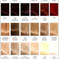 Clairol Hair Dye Chart