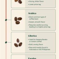 Coffee Bean Flavors Chart In Taiwan