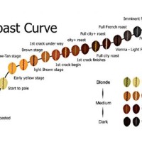 Coffee Bean Flavour Chart