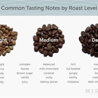 Coffee Bean Taste Chart