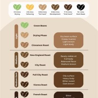 Coffee Roast Levels Chart