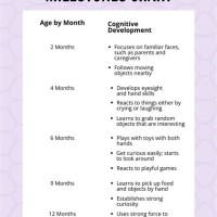 Cognitive Development Milestones Chart