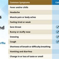 Cold Flu Or Covid 19 Chart Cdc