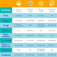 Cold Or Flu Chart