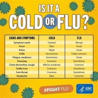 Cold Versus Flu Chart