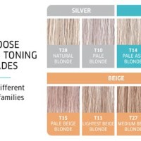 Color Charm Toner Chart