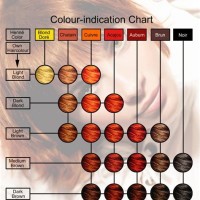 Color Chart For Henna Hair Dye