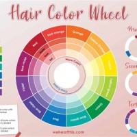 Colour Chart Wheel Hair