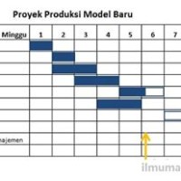 Contoh Gantt Chart Untuk Proposal