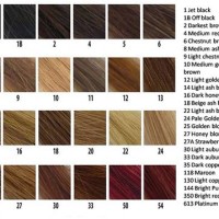 Cool Tone Hair Colour Chart Numbers
