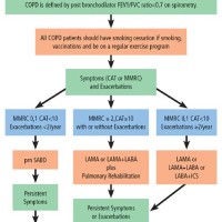 Copd Medication Flow Chart