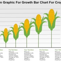 Corn Chart Barchart