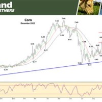 Corn Spread Charts