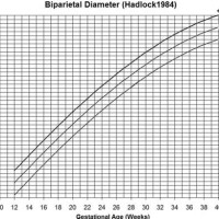 Corrected Age Growth Chart Calculator