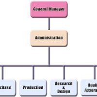 Cosmetics Anizational Chart