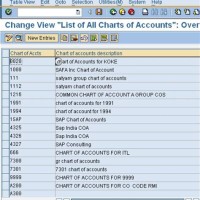 Country Chart Of Accounts In Sap Tcode