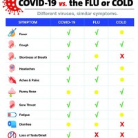 Covid Symptoms Vs Cold Or Flu Charter