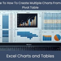 Create Multiple Charts From One Pivot Table Excel 2010