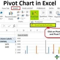 Create Pivot Chart In Excel Vba