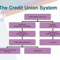 Credit Union Anizational Chart