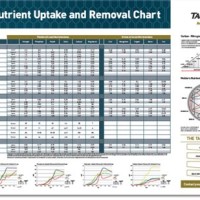 Crop Nutrient Uptake And Removal Chart