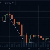 Cryptocurrency 12 Month Chart