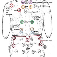 Cupping Points Chart Legs