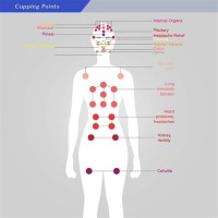 Cupping Points Chart