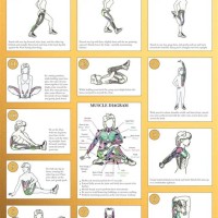 Curves Flexibility Exercises Chart