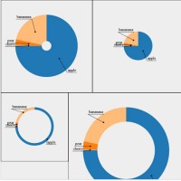 D3 Js Pie Chart With Angled Horizontal Labels