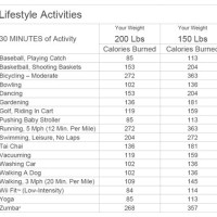 Daily Activity Calorie Burn Chart