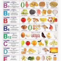 Daily Best Food Chart