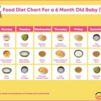 Daily Food Chart For 6 Month Baby