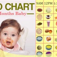 Daily Food Chart For 8 Month Baby